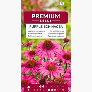Échinacée Pourpre - Vivace, ornementale, mellifère, facile à cultiver, résistante au gel - Echinacea purpurea