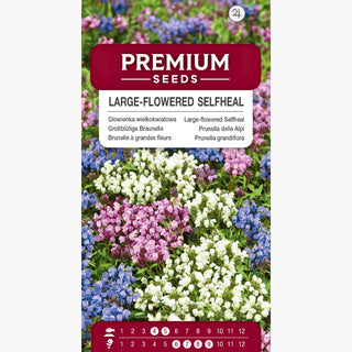 Brunelle à grandes fleurs - Attire les papillons et les abeilles - Prunella grandiflora