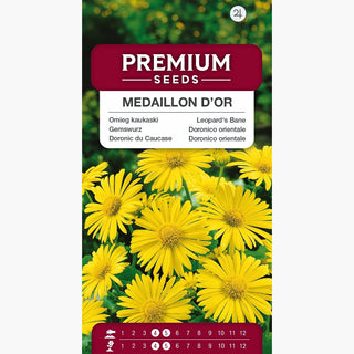 Doronic du Caucase - Medaillon d’Or - Grandes fleurs jaune doré au début du printemps - Doronicum orientale