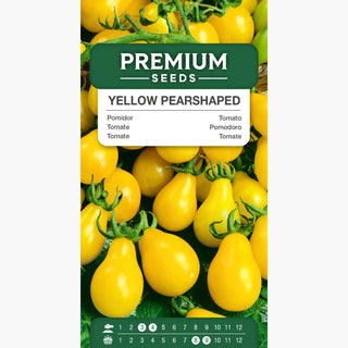 Tomate Yellow Pearshaped - Fructification intense, juteux et sucré - Graines Premium