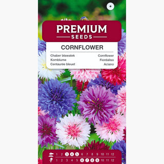 Centaurée Bleuet - Mélange - Culture facile, parfait pour les jardins sauvages, prairies fleuries - Centaurea cyanus