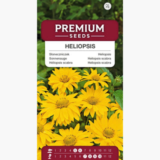 Héliopsis scabra - Fleurs dorées de l’été à l’automne - Heliopsis scabra