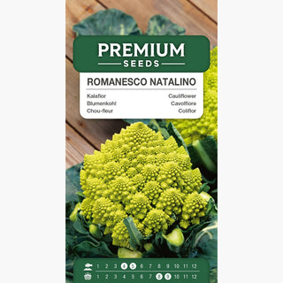 Chou-fleur Romanesco Natalino - Couleur vert clair, goût délicat et noisette ! - Brassica oleracea var. botrytis