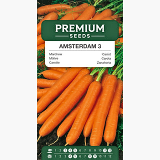 Carotte - Amsterdam 3 - Précoce, savoureuse et juteuse, idéale pour salades et jus