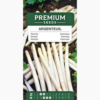 Asperge - Argenteuil - Chairnue, variété blanche, pousses délicates - Asparagus officinalis
