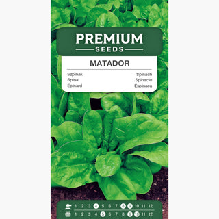 Épinard - Matador - Grandes feuilles vert foncé, parfaite pour congélation, bonne résistance hivernale - Spinacia oleracea