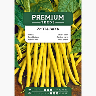 Haricot Nain Golden Saxa - Savoureuse, facile à cultiver, parfaite pour les conserves