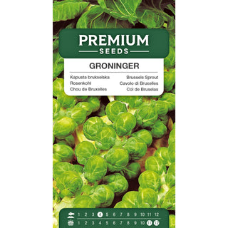Chou de Bruxelles - Groninger - Excellente pour la cuisson et la congélation