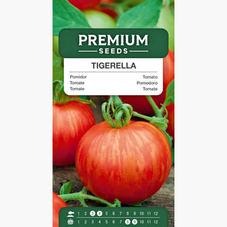 Tomate Tigerella - Fruits super aromatiques, culture facile, haute productivité !