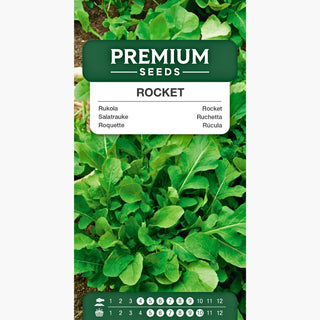 Roquette - Accent épicé pour chaque plat - Eruca sativa