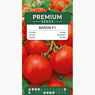 Tomate Baron F1 - Résistance fiable, récoltes précoces, récoltes abondantes