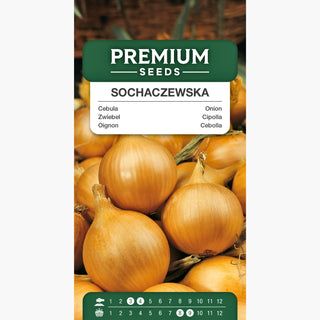 Oignon - Sochaczewska - Variété classique pour tous types de sols