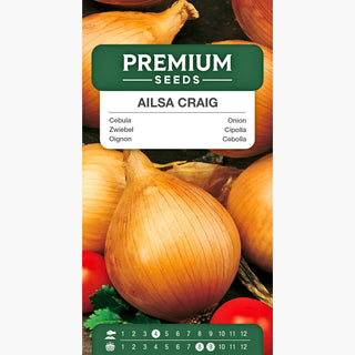 Oignon Ailsa Craig - Oignons géants jusqu'à 1 kg, goût exceptionnel, entretien facile - Allium cepa