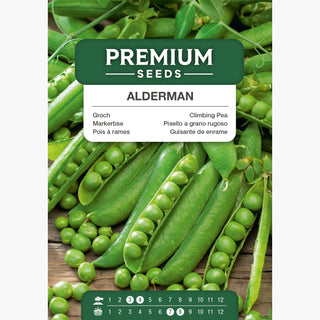 Pois à Rames Alderman - Graines savoureuses et grosses, idéales pour séchage ! - Pisum sativum