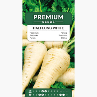 Panais Demi-Long Blanc - Variété très productive, idéale pour le stockage hivernal - Pastinaca sativa