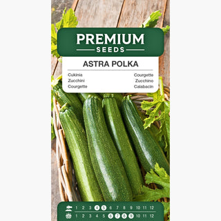 Courgette Astra Polka - Extrêmement productive, super résistante, pleine de saveur