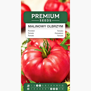 Tomate Raspberry Giant - Récoltes impressionnantes, goût unique - roi des tomates ! - Graines Premium