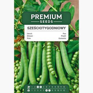 Pois Six Semaine - Récoltes rapides, idéale pour la consommation ! - Pisum sativum