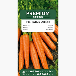 Carotte First Harvest - Variété pour impatients - parfaite pour salades et jus !