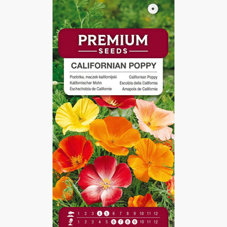 Eschscholzia de Californie - Mélange - Fleurs colorées, soyeuses et délicates - Eschscholzia californica