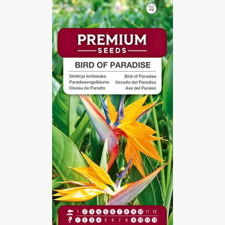 Oiseau de Paradis - Exotique et spectaculaire comme un oiseau de paradis - Strelitzia reginae
