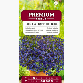 Lobélie retombante - Bleu Saphir - Décoration estivale fiable - Lobelia pendula