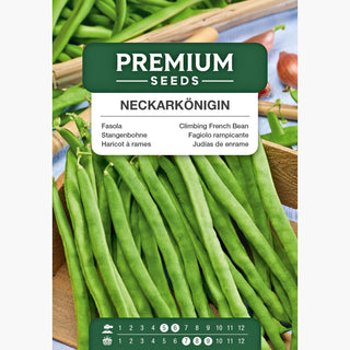 Haricot à rames - Neckarkönigin - Idéale pour la cuisson et la congélation
