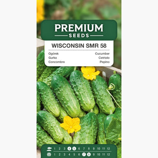 Concombre - Wisconsin SMR 58 - Mi-précoce, très productif, hautement résistant