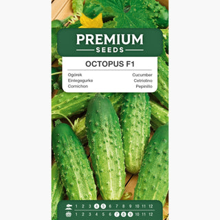 Cornichon Octopus F1 - Récolte abondante et goût exquis !
