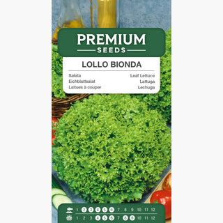 Laitue à Couper Lollo Bionda - Parfaite pour culture toute la saison, résistante au gel