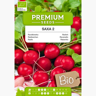BIO Radis Saxa 2 - Rendement fiable en quelques semaines
