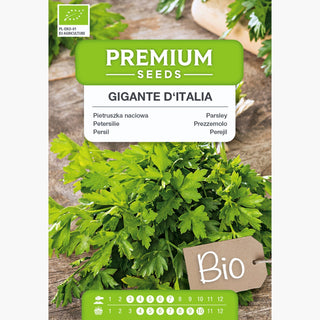 BIO Persil Gigante D'Italia - Indispensable dans chaque cuisine