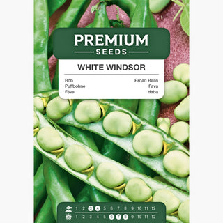 Fève - White Windsor - Récoltes savoureuses et abondantes, culture facile