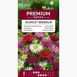 Monarde didyma - Attire les abeilles et les papillons - Monarda didyma