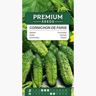 Concombre Cornichon de Paris - Productif, mince, idéal pour les cornichons
