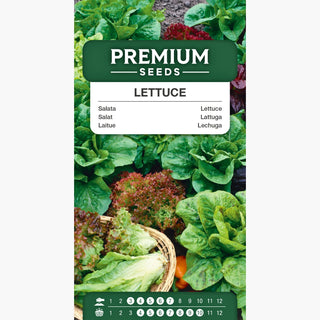 Laitue – Mélange de Variétés - Saveurs et couleurs variées pour les salades