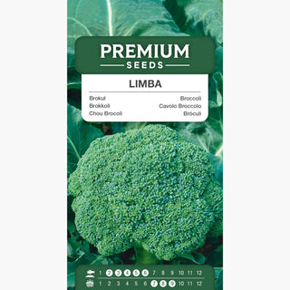 Chou Brocoli Limba - Idéal pour la cuisson et la vapeur