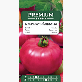Tomate Raspberry Ożarowski - Goût exceptionnel, récoltes abondantes - Graines Premium