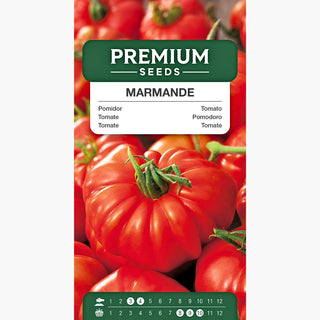Tomate Marmande - Fruits sucrés et charnus, variété très productive et précoce !