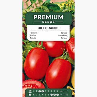 Tomate - Rio Grande - Allongé, ferme, idéal pour les conserves