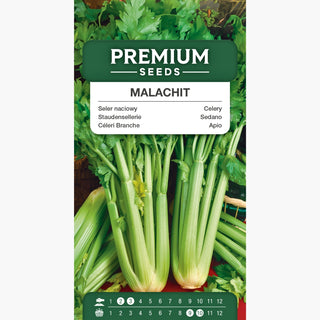 Céleri Branche Malachit - Saveur et arôme exceptionnels, culture facile - Apium graveolens var.dulce