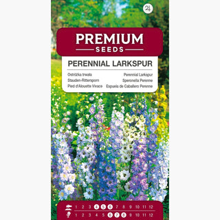 Pied d'Alouette Vivace Mélange - Inflorescences multicolores jusqu'à 200 cm, résistante au gel - Delphinium x cultorum