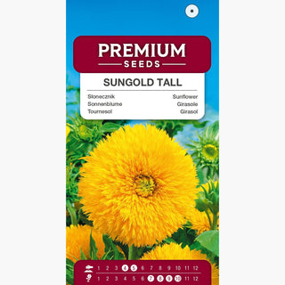 Tournesol - Sungold Tall - Fleurs pleines éblouissantes : duveteuses et jaunes ! - Helianthus annuus