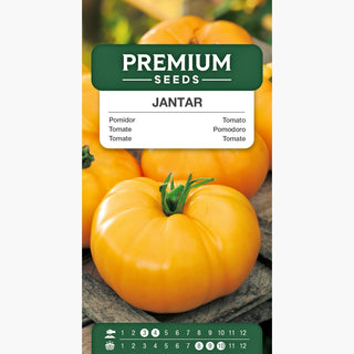 Tomate Jantar - Culture facile, haute productivité, goût exceptionnel !