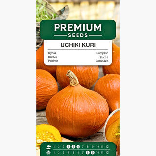 Potiron Uchiki Kuri - Décorative et délicieuse, étonnamment douce et juteuse - Cucurbita maxima
