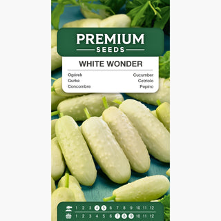 Concombre White Wonder - Super productif, savoureux et facile à cultiver, parfait pour la fermentation