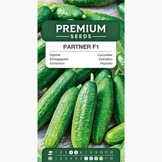 Cornichon Partner F1 - Très productive, goût intense, culture facile