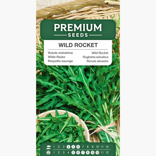 Roquette Sauvage Sylvetta - Goût prononcé de noix, parfait pour les plats raffinés - Diplotaxis tenuifolia