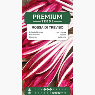 Chicorée Rossa di Treviso - Goût subtil, parfaite crue et cuite ! - Cichorium intybus var. foliosum