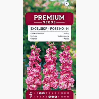 Giroflée - Excelsior Rose no. 14 - Classique poudré du jardin - Matthiola incana